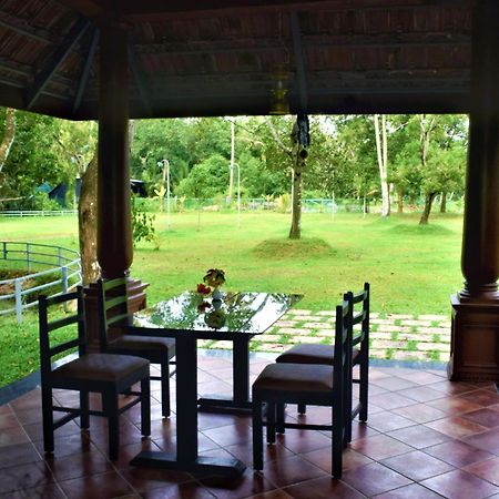 Marari Beach Palace Mararikulam Zewnętrze zdjęcie