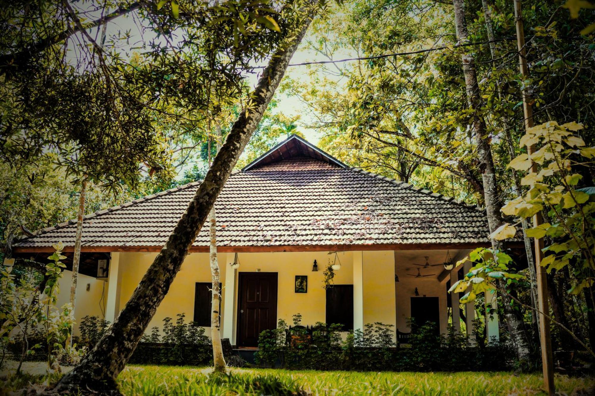 Marari Beach Palace Mararikulam Zewnętrze zdjęcie